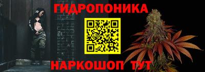 наркотики Камышлов