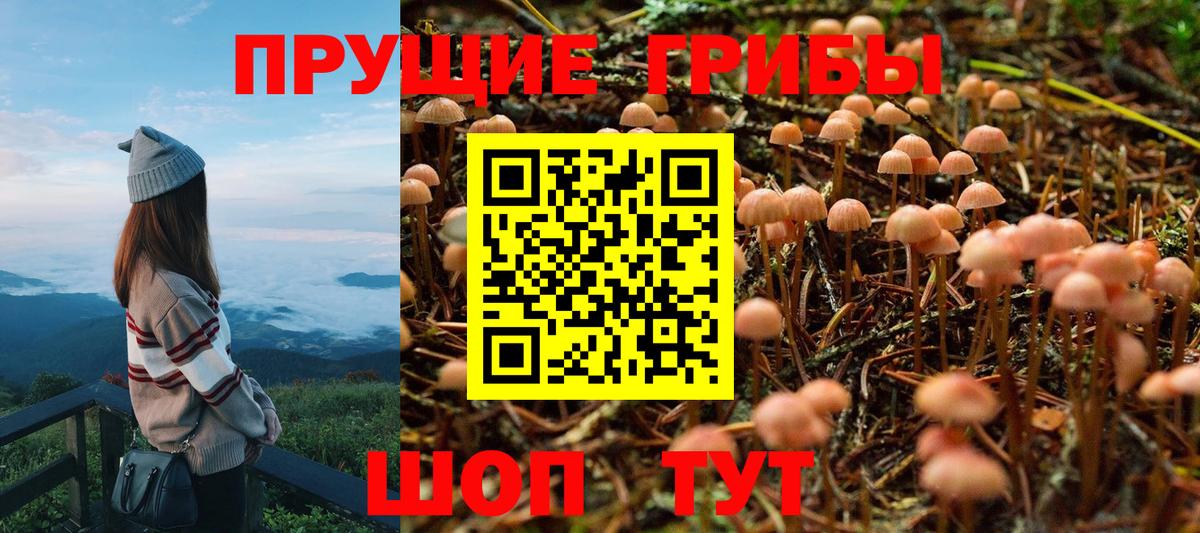 Псилоцибиновые грибы прущие грибы  Вход с VPN  Кумертау 